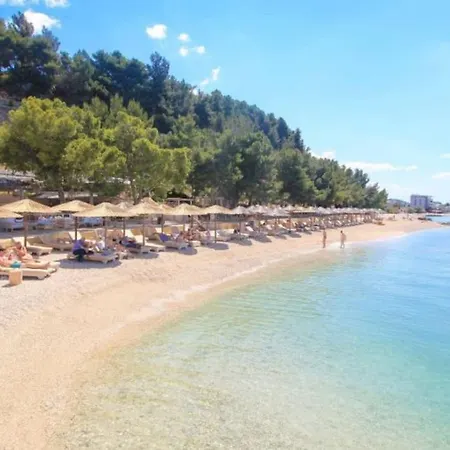 Delux Holiday In